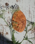 Plakieta obrazek ceramiczny koper handmade