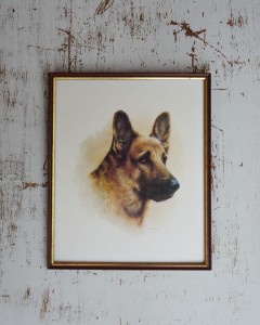 Obrazek pies owczarek vintage