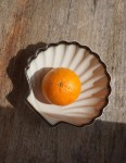 Paterka muszla vintage