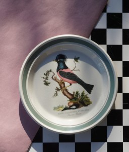Talerz Portmeirion Birds od Britain vintage