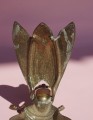 DSC05367.JPG