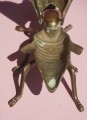 DSC05368.JPG