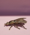 DSC05373.JPG