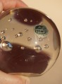 DSC02975.JPG