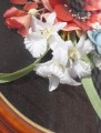DSC09110.JPG