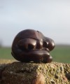 DSC05837.JPG