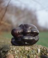 DSC05842.JPG