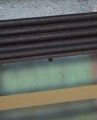DSC05638.JPG
