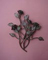 DSC08550.JPG