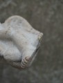 DSC01273.JPG