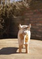 DSC03202.JPG