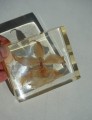 DSC06597.JPG