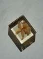 DSC06610.JPG