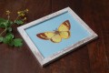 DSC07784.JPG
