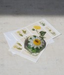 Przycisk do papieru pszczoła vintage