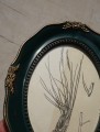 DSC05578.JPG