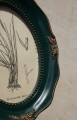 DSC05579.JPG