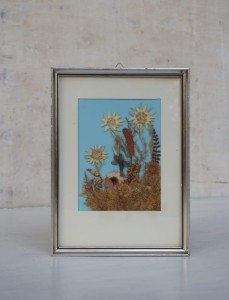 Obrazek kwiaty prasowane szarotki vintage