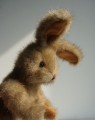 DSC00552.JPG