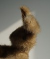 DSC00555.JPG