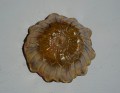 DSC02969s.jpg